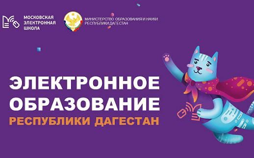 С сентября колледжи Дагестана подключат к «Московской электронной школе»