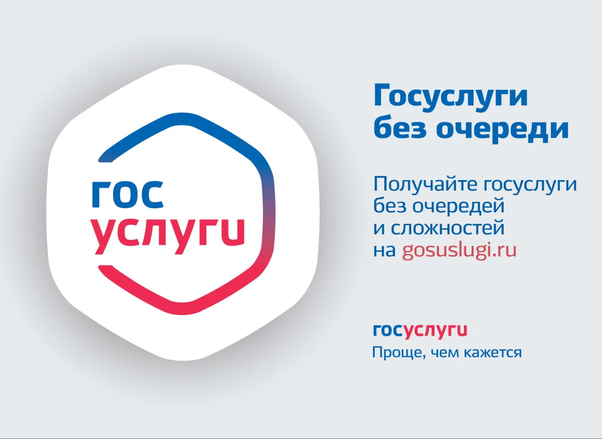 Госуслуги: жильцам одного дома можно общаться в чате, оплата ЖКХ онлайн и другие возможности